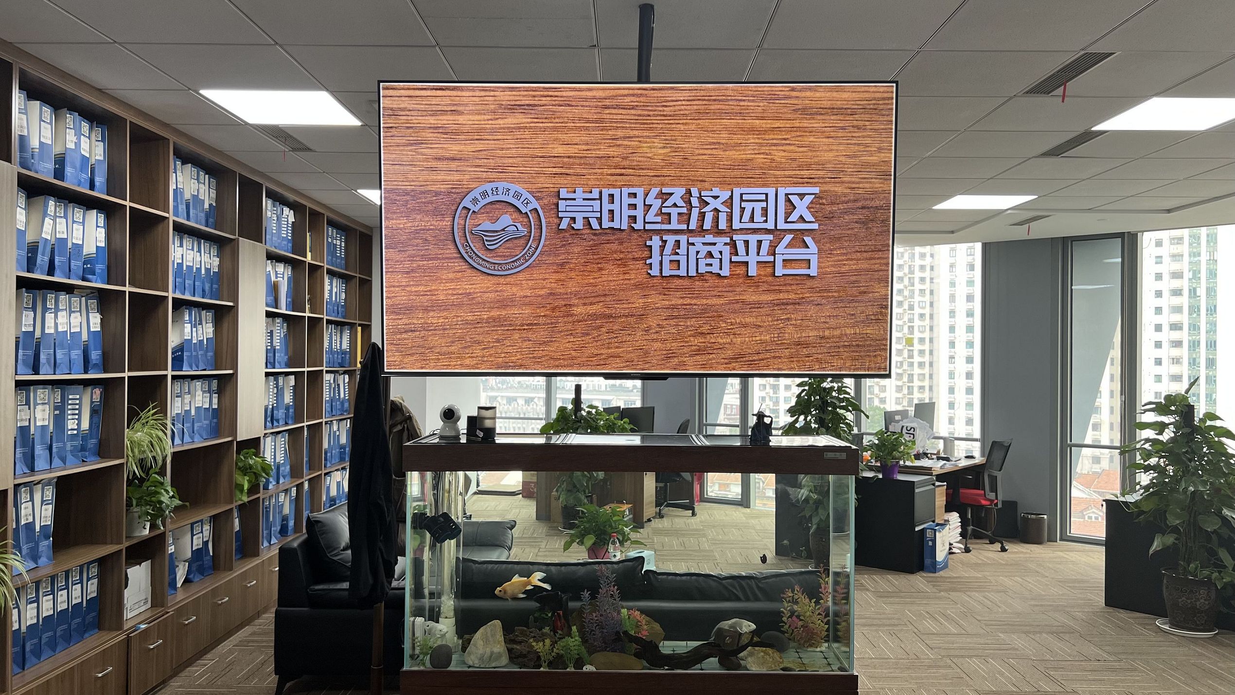 外资公司在崇明经济园区注册，外汇风险管理？